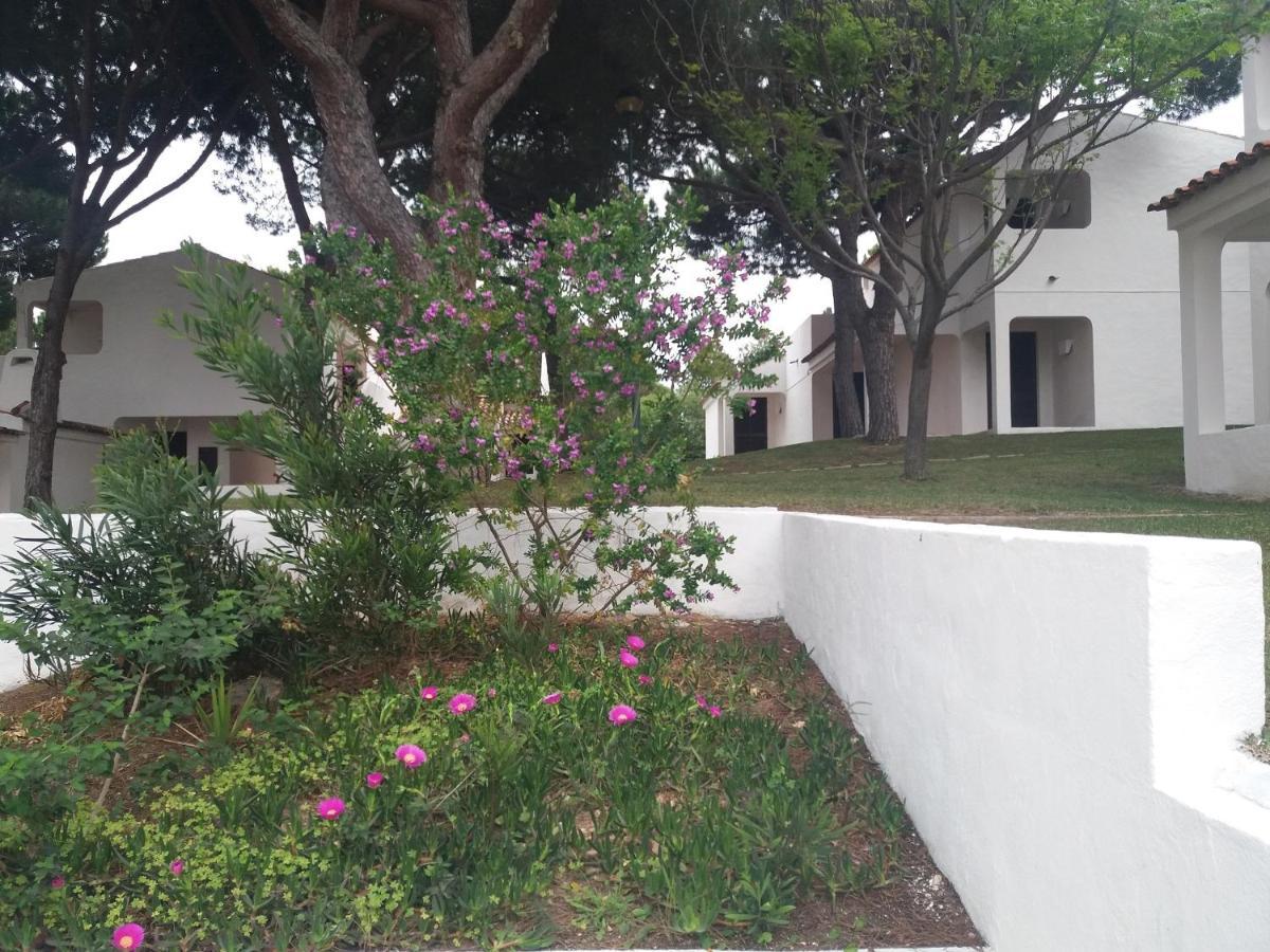Aldeia Da Falesia Appartement *