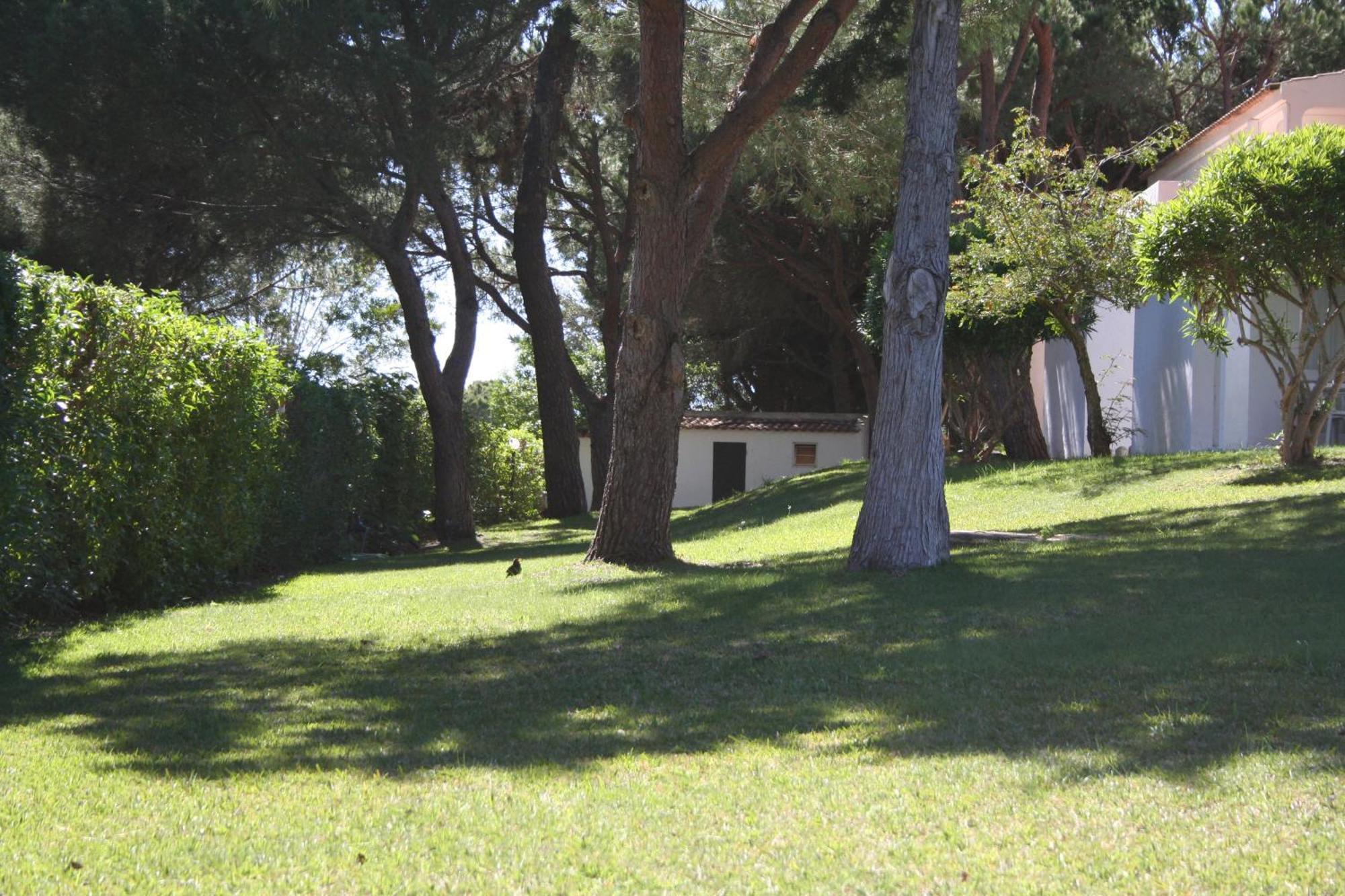 Appartement Aldeia Da Falesia *
