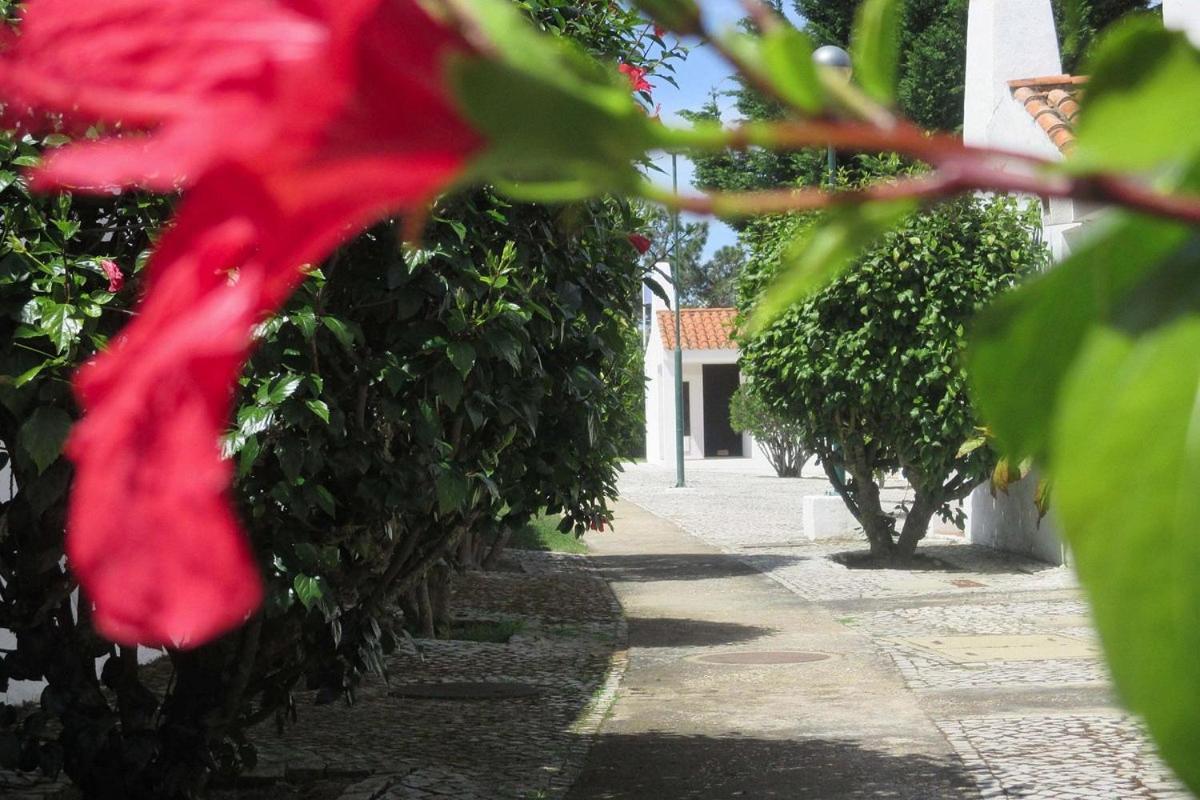 Aldeia Da Falesia Appartement Albufeira