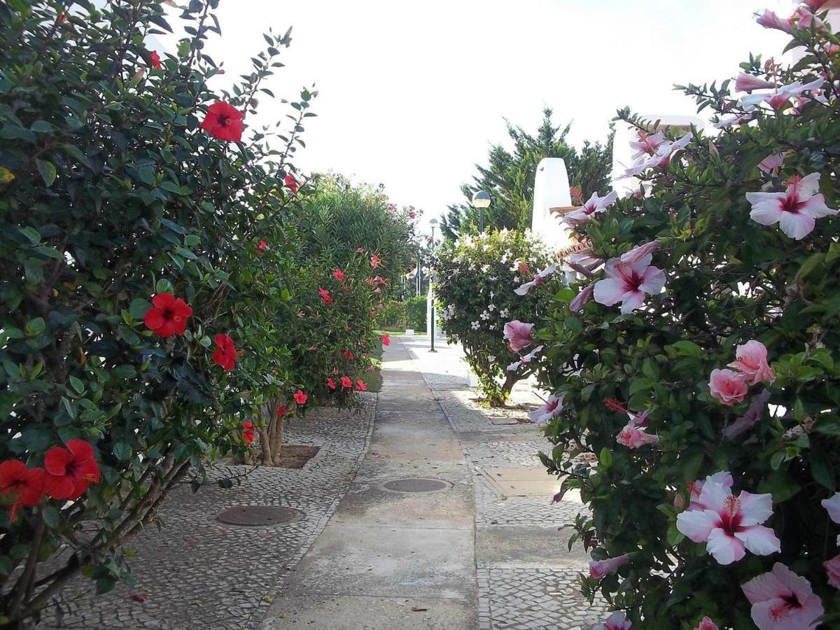 Appartement Aldeia Da Falesia *